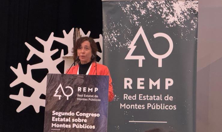 Pérez durante las conclusiones del II Congreso Estatal sobre Montes Públicos