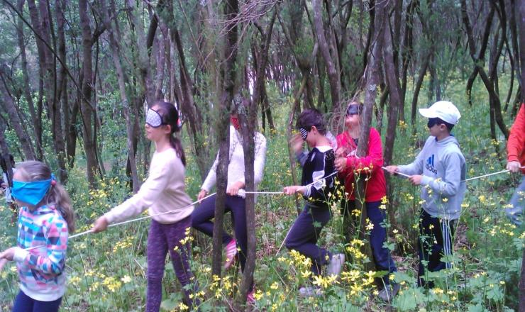 Fig. 1. Excursión al monte con alumnado de 5.º de Primaria. Programa BROTES, Tenerife.
