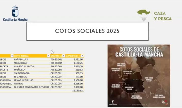 cotos sociales Castilla La Mancha