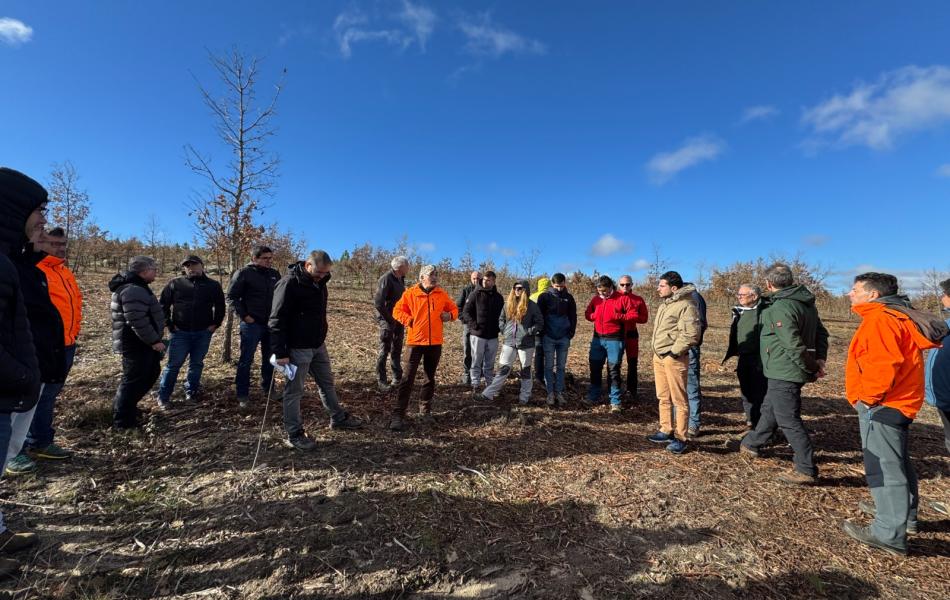 Salida de campo de la Jornada Técnica de Restauración Posincendios Forestales