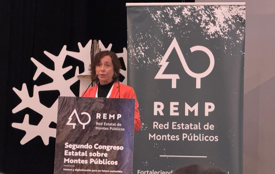 Pérez durante las conclusiones del II Congreso Estatal sobre Montes Públicos